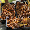 Datteln Deglet Nour am Zweig 1 kg